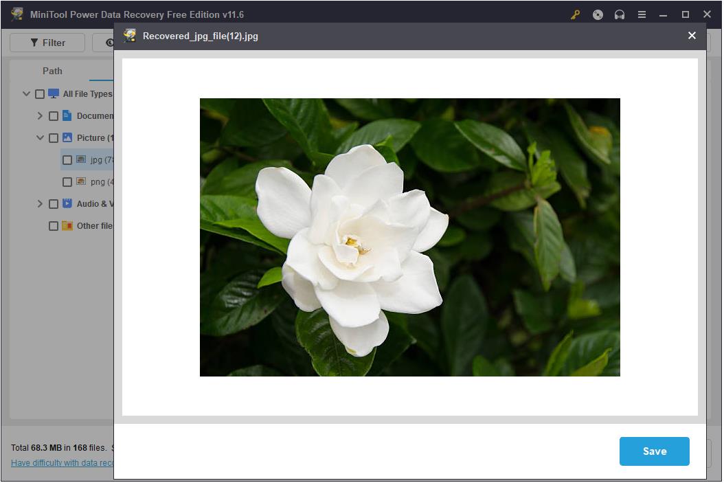 preview the file