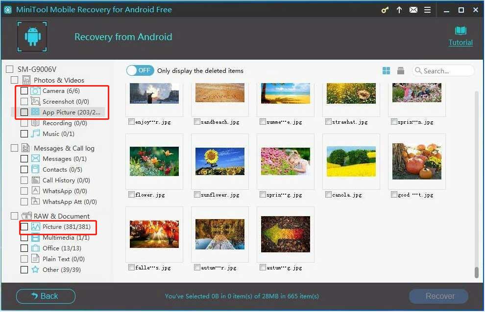 click Recover to extract all selected files