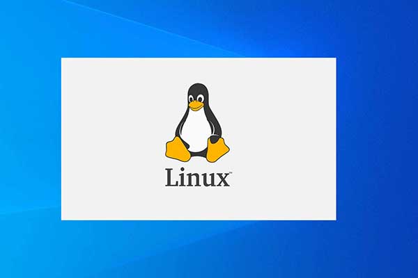Windows Linux