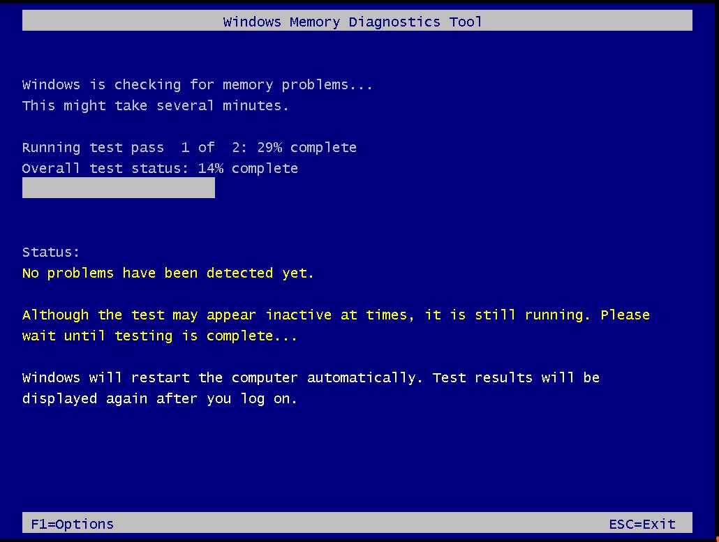run the test program automatically