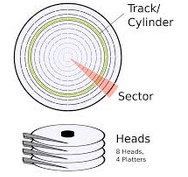 Number of Cylinder