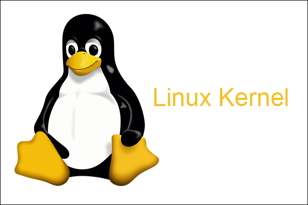 Le WSL 2 de Windows 10 permet d'ajouter un noyau Linux personnalisé