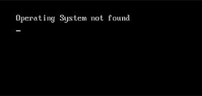 Operating System Not Found