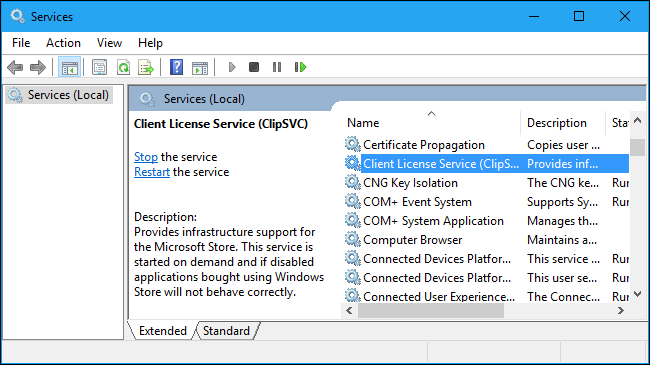Client License Service